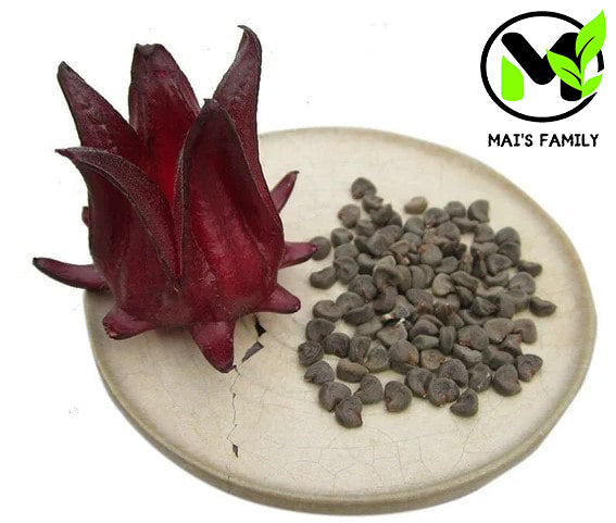 rose red soba seeds Roselle Seeds, Hoa Bụt Giấm, Hibiscus sabdariffa Organic – Mai's Family