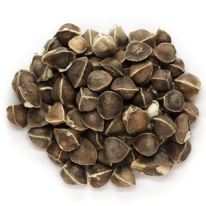 moringa seeds for planting near me Organic Moringa Oleifera Drumstick Seeds (Chùm Ngây) | Non-GMO