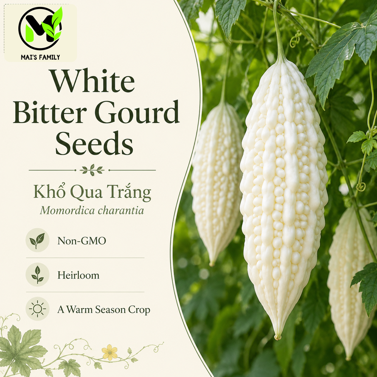 White Skin Bitter Gourd Seeds – Khổ Qua Trắng Heirloom Non-GMO Asian Vegetable