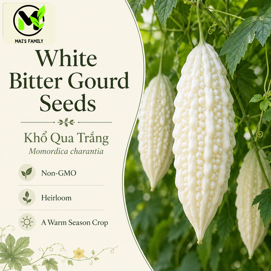 White Skin Bitter Gourd Seeds – Khổ Qua Trắng Heirloom Non-GMO Asian Vegetable