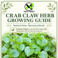 Peperomia Pellucida Seeds – Rau Cang Cua Crab Claw Tropical Edible Green
