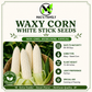 White Waxy Corn Seeds – Bap Nep Sticky Glutinous Corn Non-GMO