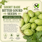 Baby Short Bitter Gourd Seeds – Khổ Qua Lùn | Non-GMO Asian Bitter Melon