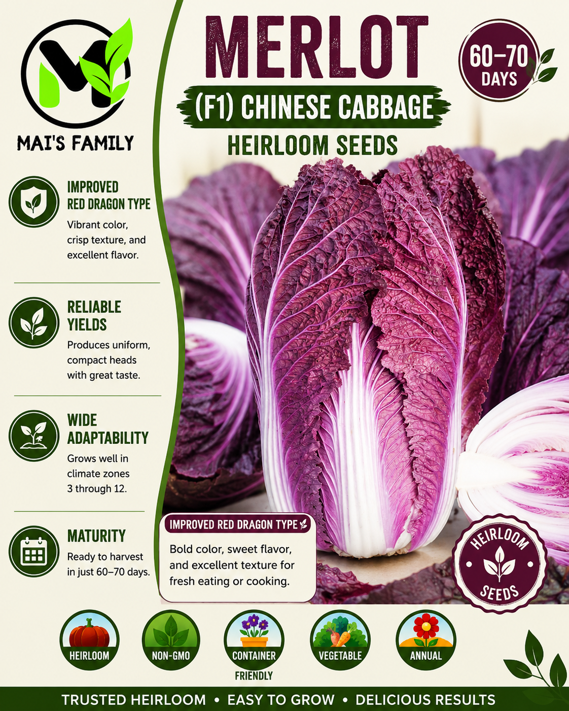 Merlot Chinese Cabbage Seeds – F1 Hybrid Dark Red Napa Cabbage