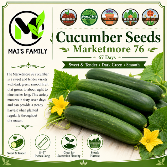 Marketmore 76 黃瓜種子 |非基因改造 |傳家寶