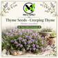 Creeping Thyme Seeds – Thymus serpyllum Heirloom Non-GMO Perennial Ground Cover
