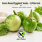 Green Round Eggplant Seeds – Cà Pháo Xanh Heirloom Non-GMO Vietnamese Eggplant