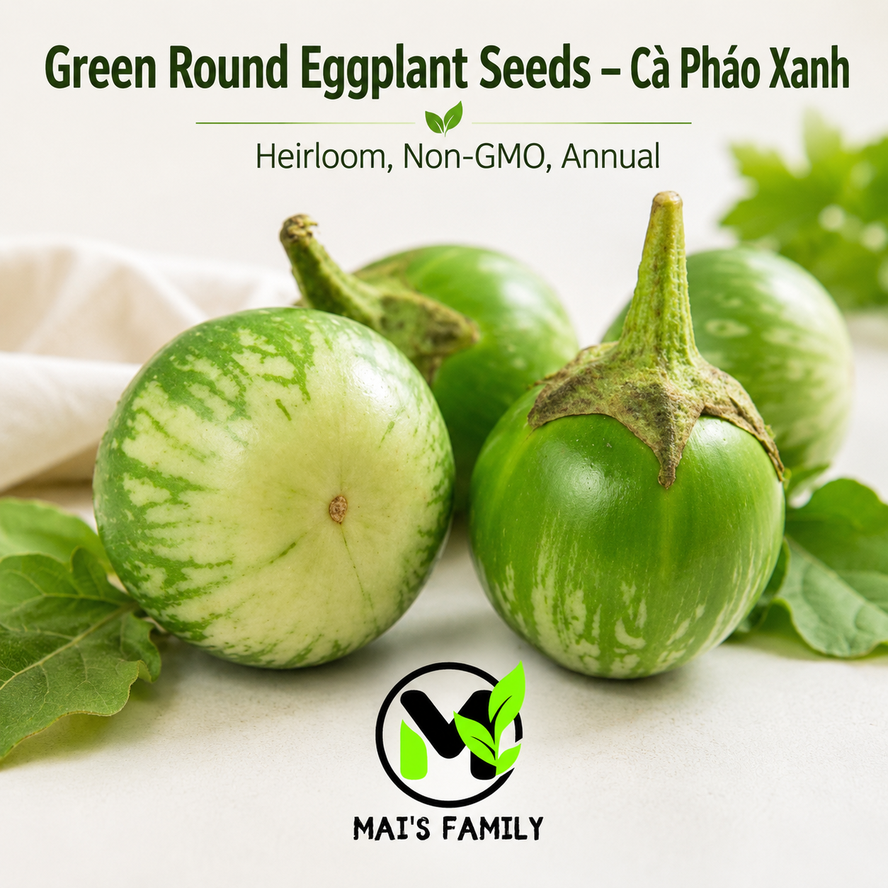 Green Round Eggplant Seeds – Cà Pháo Xanh Heirloom Non-GMO Vietnamese Eggplant