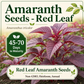 Red Amaranth Seeds – Rau Dền Đỏ Chinese Spinach, Heirloom Non-GMO Asian Leafy Vegetable