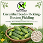 Boston Pickling Cucumber Seeds – Heirloom Non-GMO Open-Pollinated Pickling Variety