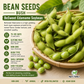 BeSweet Edamame Soybean Seeds – Non-GMO Open-Pollinated Bush Soybean