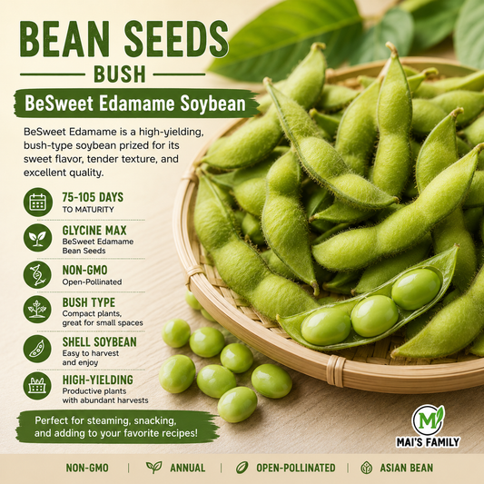 BeSweet Edamame Soybean Seeds – Non-GMO Open-Pollinated Bush Soybean