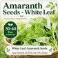 White Leaf Green Amaranth Seeds – Rau Dền Trắng Chinese Spinach, Heirloom Non-GMO