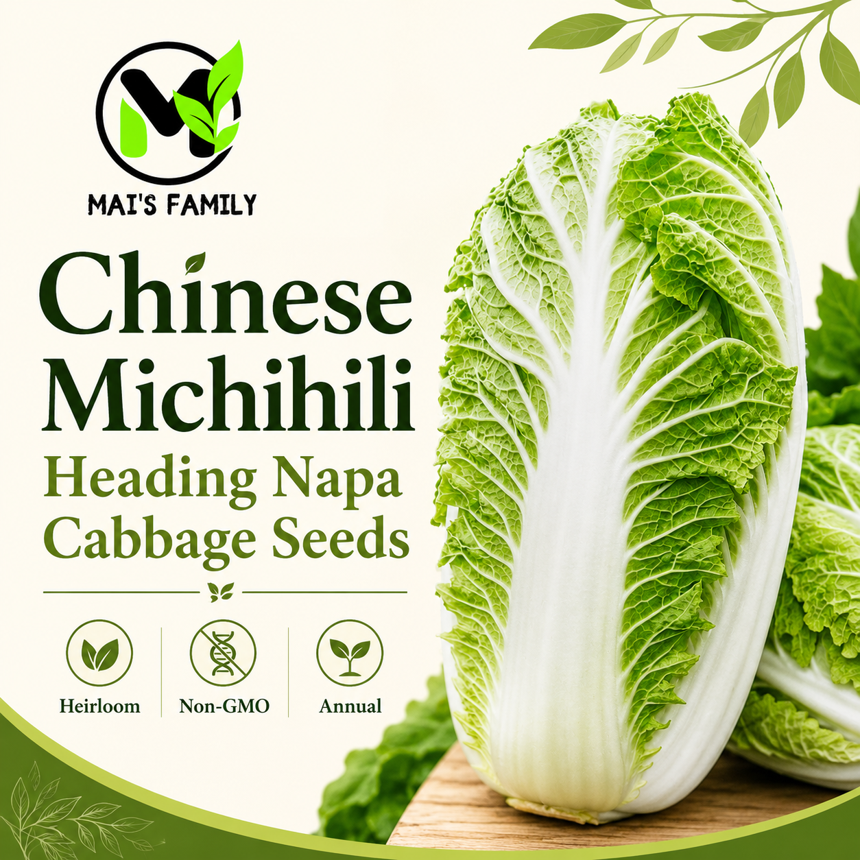 納帕 Michihili 標題種子 - 捲心菜種子 - 傳家寶 - 基因改造生物