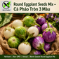 Round Eggplant Seeds Mix – Purple, Green & White Vietnamese Cà Pháo 3 Màu, Heirloom Non-GMO
