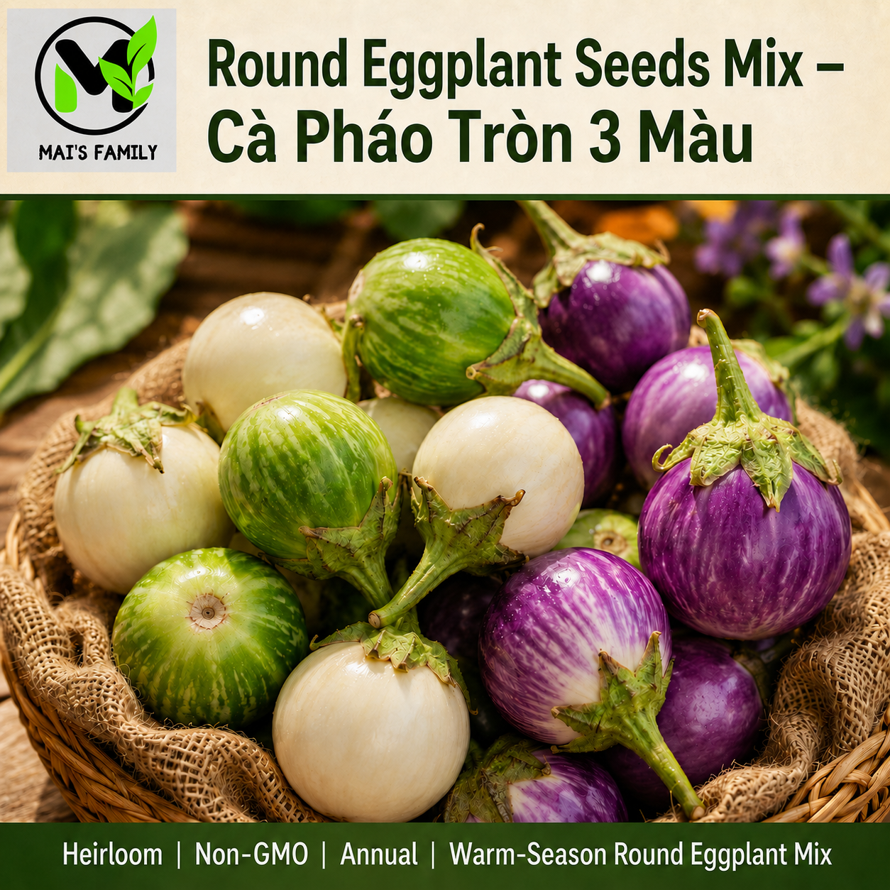 Round Eggplant Seeds Mix – Purple, Green & White Vietnamese Cà Pháo 3 Màu, Heirloom Non-GMO