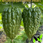 Big Heart Bitter Melon Seeds | Heart-Shaped Bitter Gourd | F1 Hybrid Non-GMO
