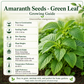 Green Amaranth Seeds (Green Leaf) – Rau Dền Xanh | Heirloom, Non-GMO | Heat-Tolerant Leafy Vegetable