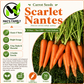 Scarlet Nantes Carrot Seeds – Heirloom Non-GMO Sweet Orange Carrot