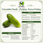 Boston Pickling Cucumber Seeds – Heirloom Non-GMO Open-Pollinated Pickling Variety