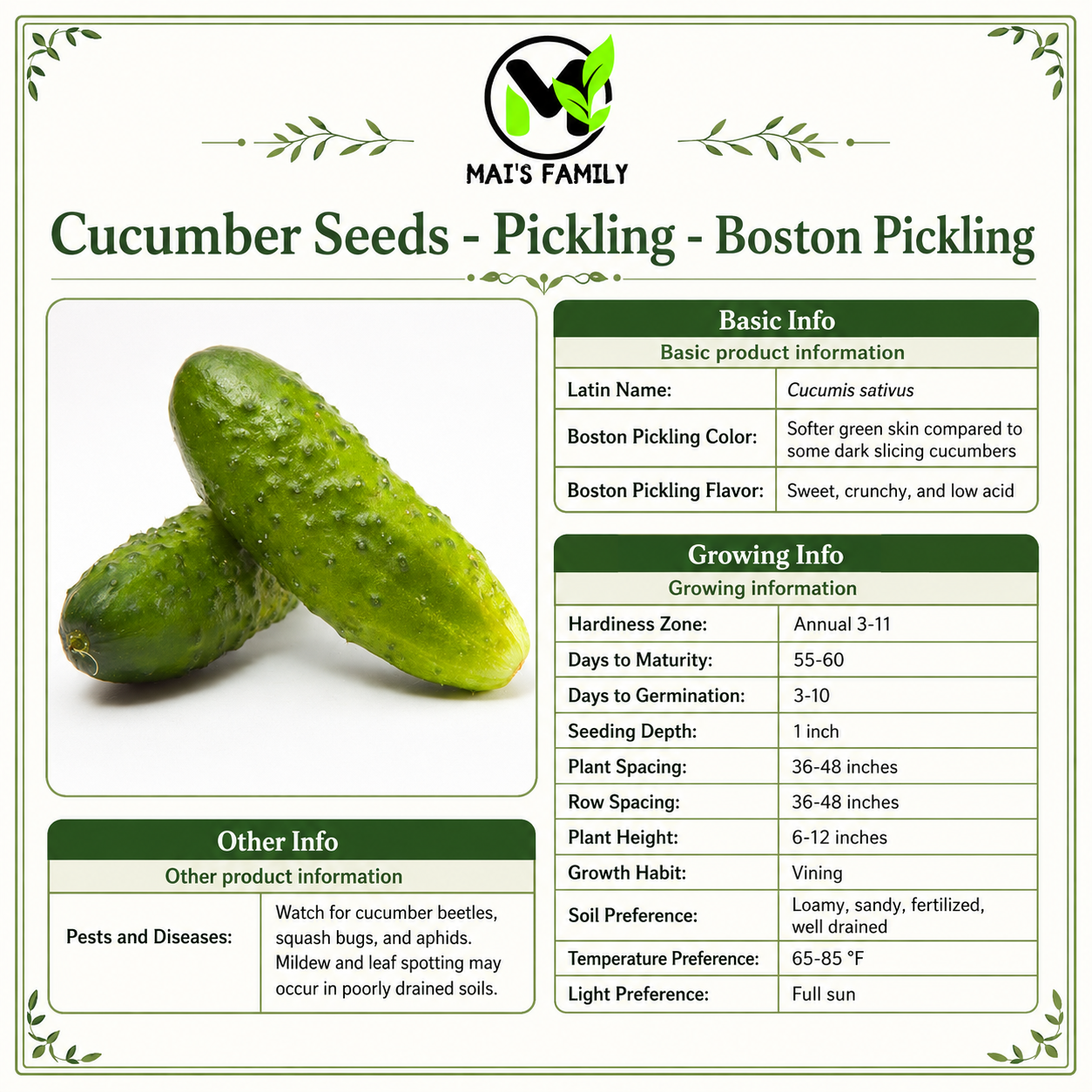 Boston Pickling Cucumber Seeds – Heirloom Non-GMO Open-Pollinated Pickling Variety