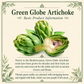 Green Globe Artichoke Seeds – Heirloom Non-GMO Perennial Vegetable Seeds