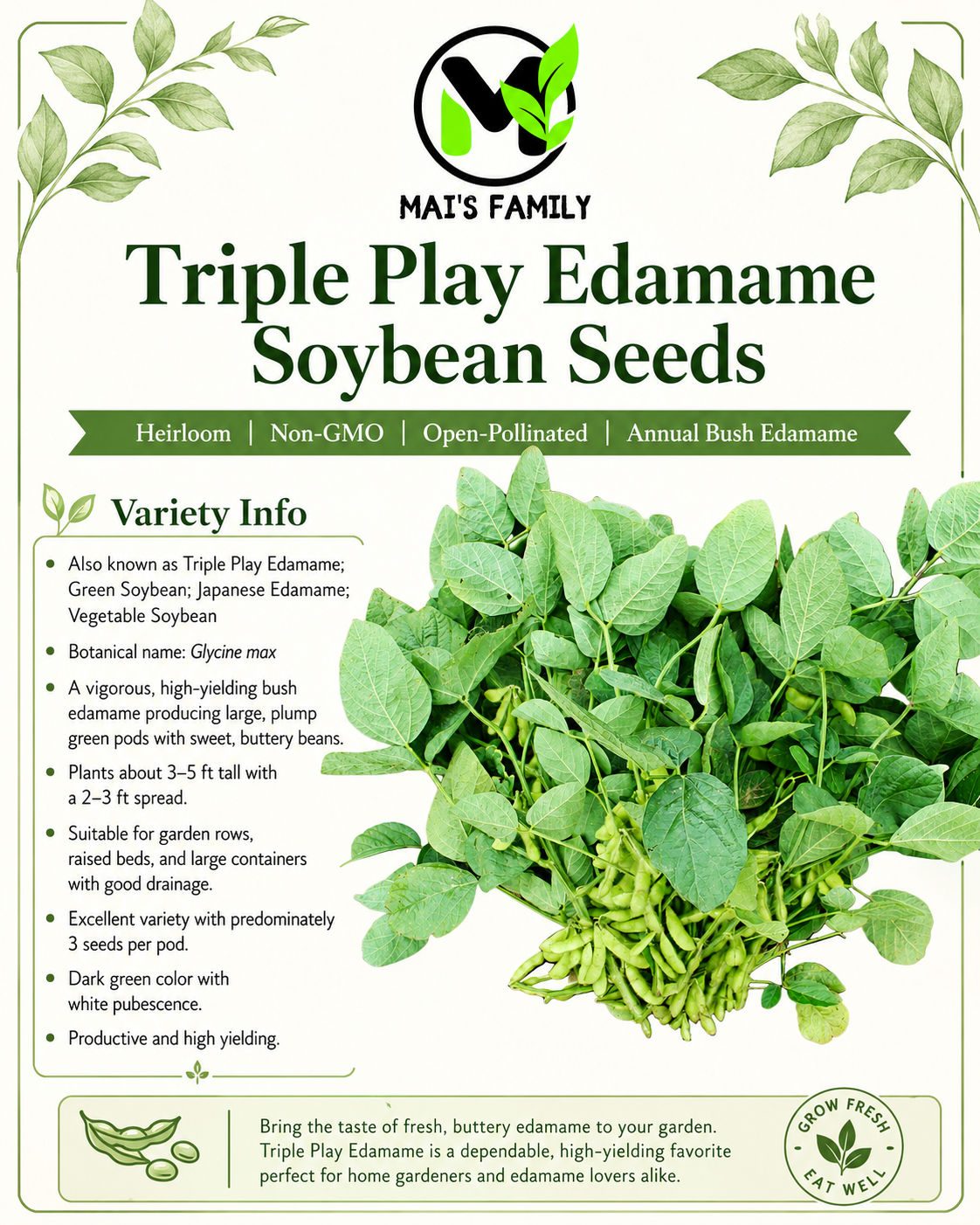 Triple Play Edamame Soybean Seeds – Heirloom Non-GMO Open-Pollinated Bush Edamame