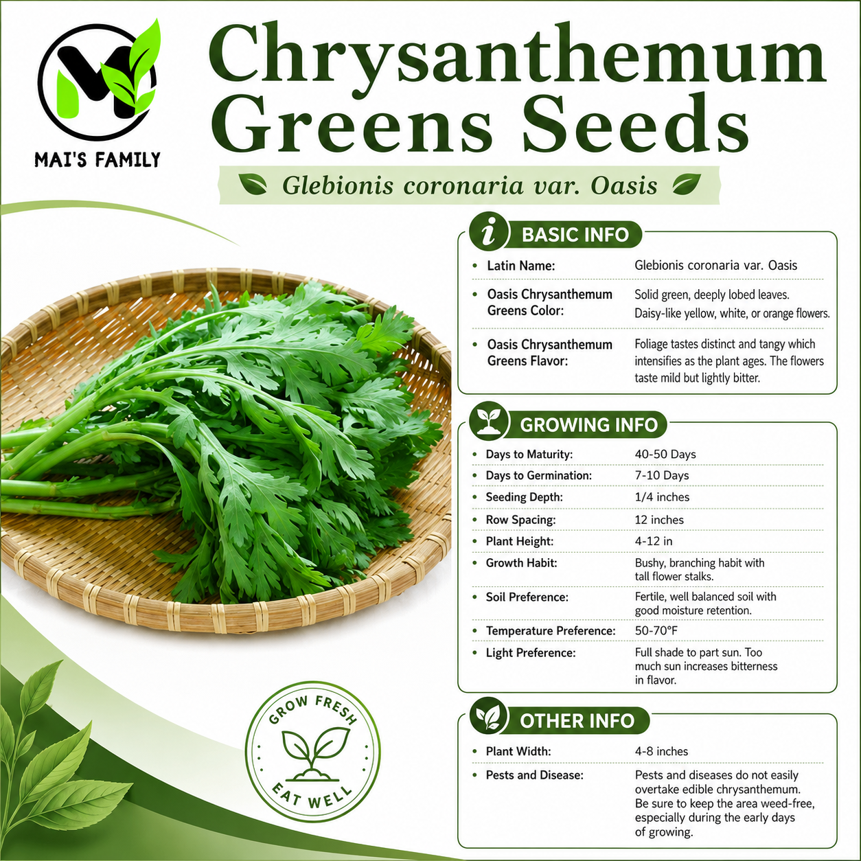 Chrysanthemum Greens Seeds – Annual Heirloom Non-GMO Shungiku Tong Ho Tan O Cai Cuc