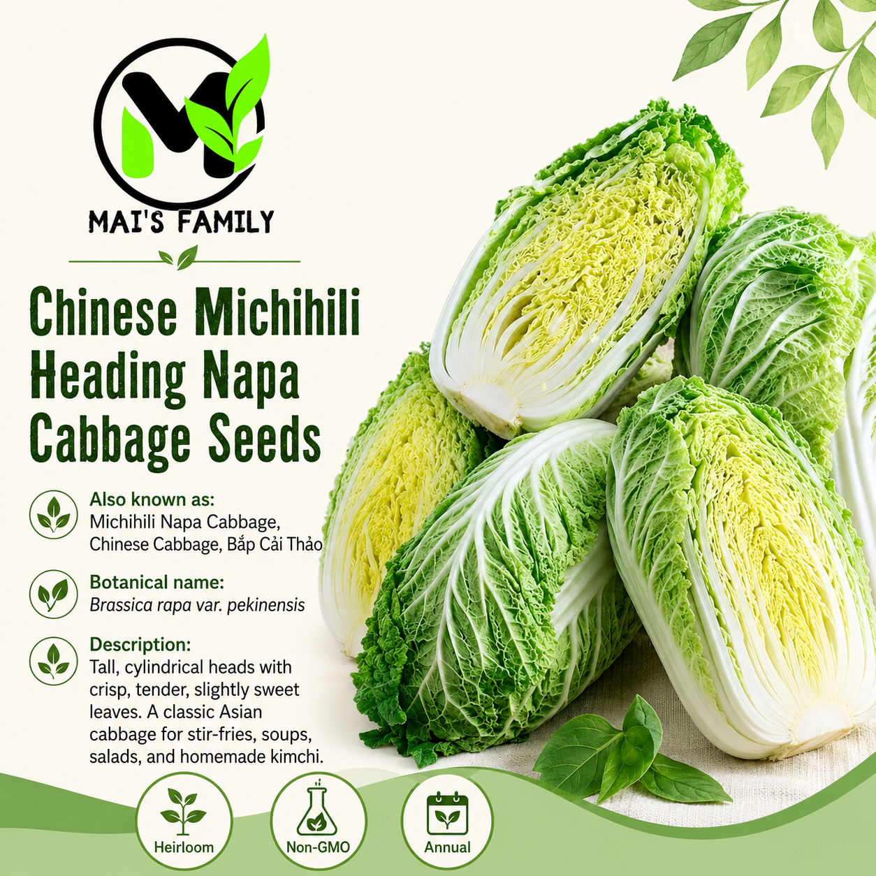 納帕 Michihili 標題種子 - 捲心菜種子 - 傳家寶 - 基因改造生物