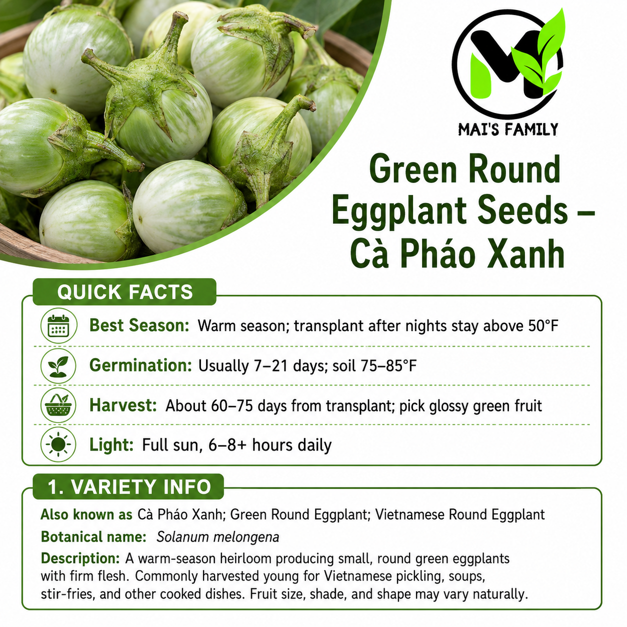 Green Round Eggplant Seeds – Cà Pháo Xanh Heirloom Non-GMO Vietnamese Eggplant