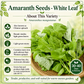 White Leaf Green Amaranth Seeds – Rau Dền Trắng Chinese Spinach, Heirloom Non-GMO
