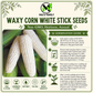 White Waxy Corn Seeds – Bap Nep Sticky Glutinous Corn Non-GMO