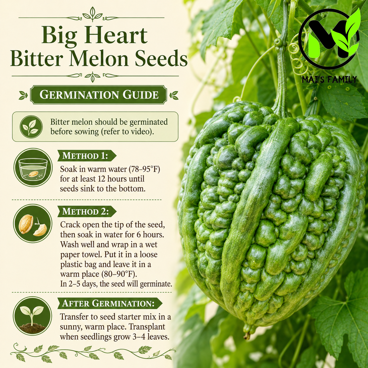 Big Heart Bitter Melon Seeds | Heart-Shaped Bitter Gourd | F1 Hybrid Non-GMO