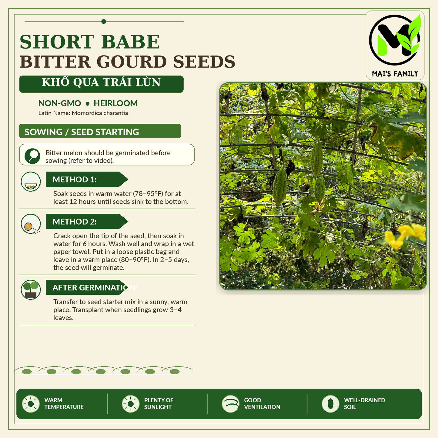 Baby Short Bitter Gourd Seeds – Khổ Qua Lùn | Non-GMO Asian Bitter Melon