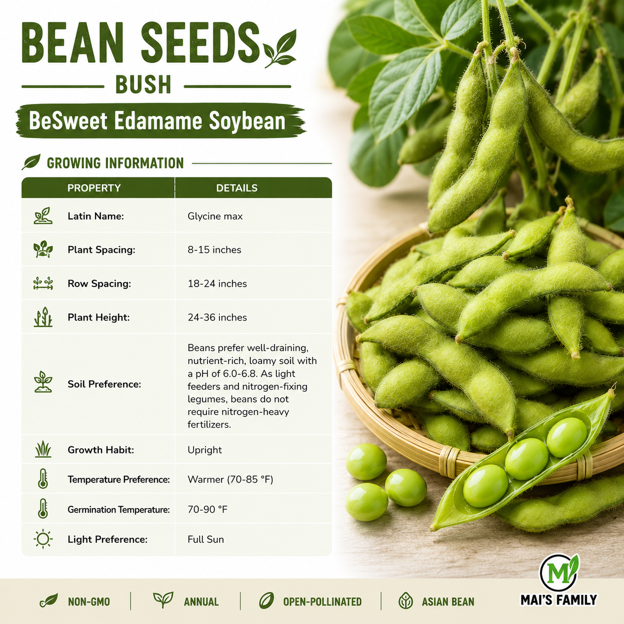 BeSweet Edamame Soybean Seeds – Non-GMO Open-Pollinated Bush Soybean