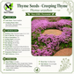 Creeping Thyme Seeds – Thymus serpyllum Heirloom Non-GMO Perennial Ground Cover