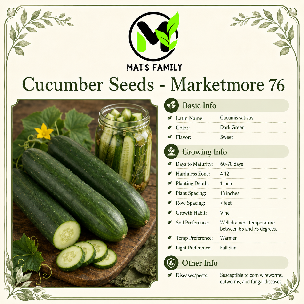 Marketmore 76 黃瓜種子 |非基因改造 |傳家寶