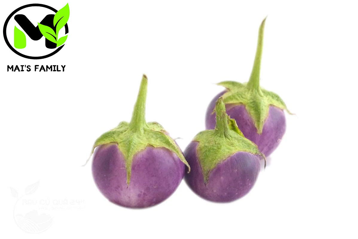 圓紫茄子種子 , Cà Pháo Tím {有機} 