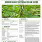 Midori Giant Edamame Soybean Seeds – Heirloom Non-GMO Open-Pollinated Bush Bean