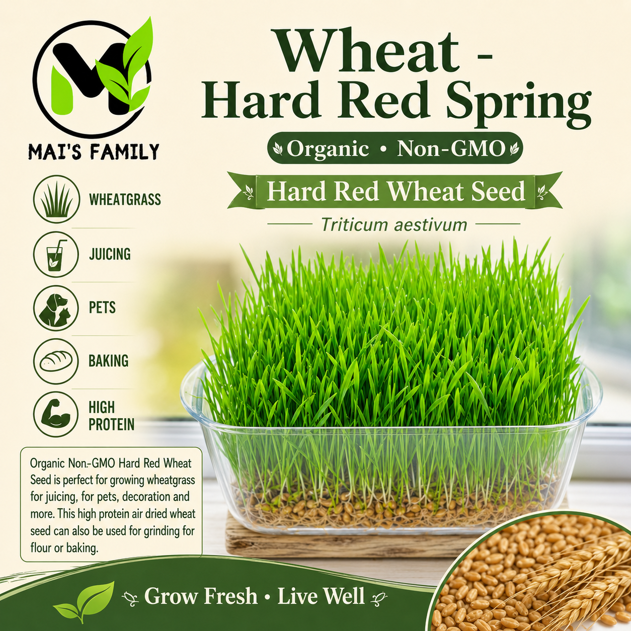 Organic Hard Red Wheatgrass Seeds – Non-GMO Wheat Seeds for Cat Grass, Pet Grass, Sprouting, Microgreens & Juicing