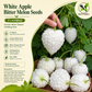 White Apple Bitter Melon Seeds (Momordica charantia) F1 HYBRID