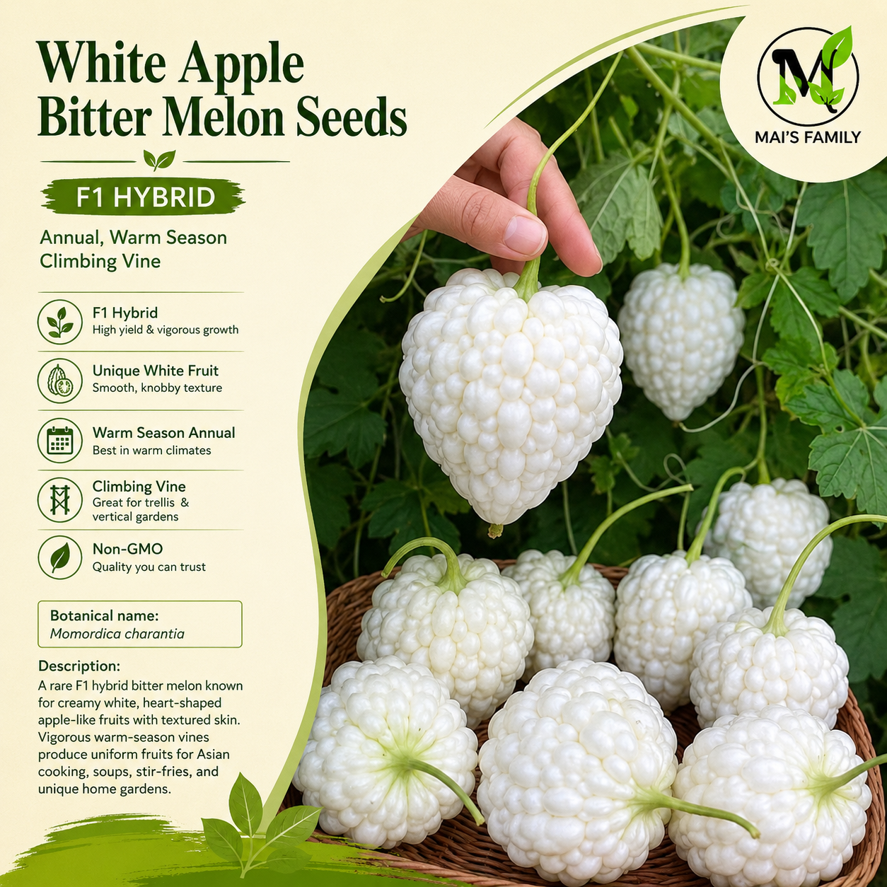 White Apple Bitter Melon Seeds (Momordica charantia) F1 HYBRID