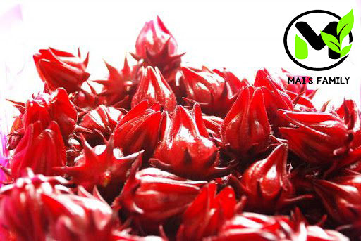 Roselle Seeds, Hoa Bụt Giấm, Asian Sour Leaf Red Sorrell Hibiscus sabdariffa