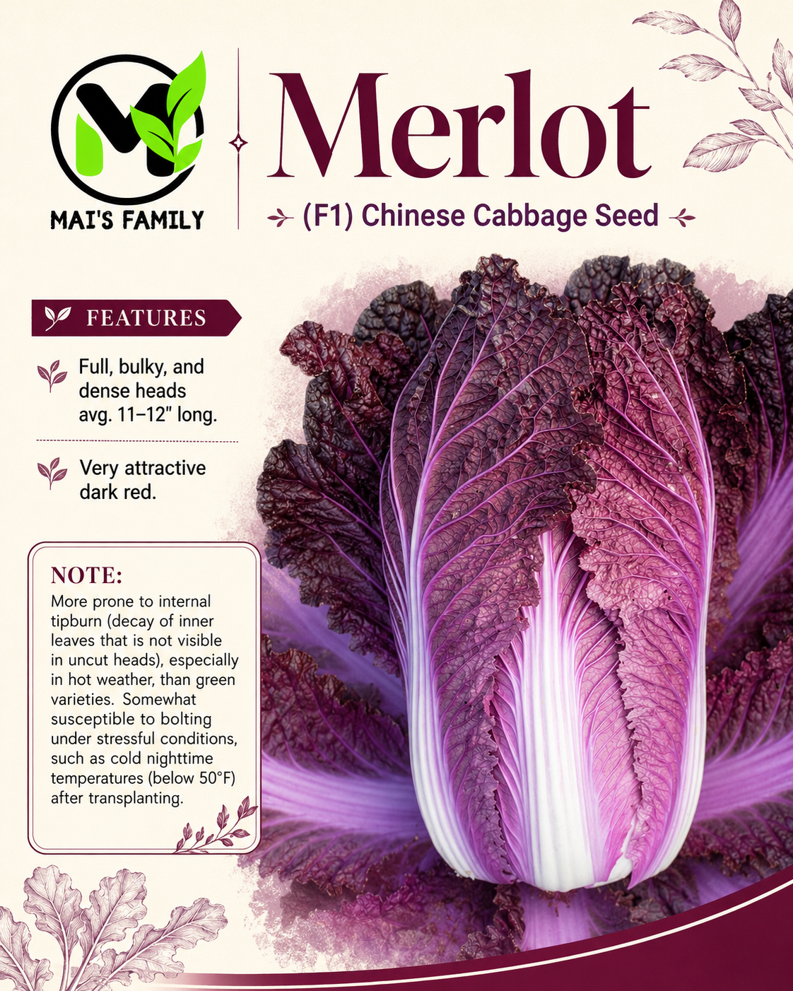 Merlot Chinese Cabbage Seeds – F1 Hybrid Dark Red Napa Cabbage