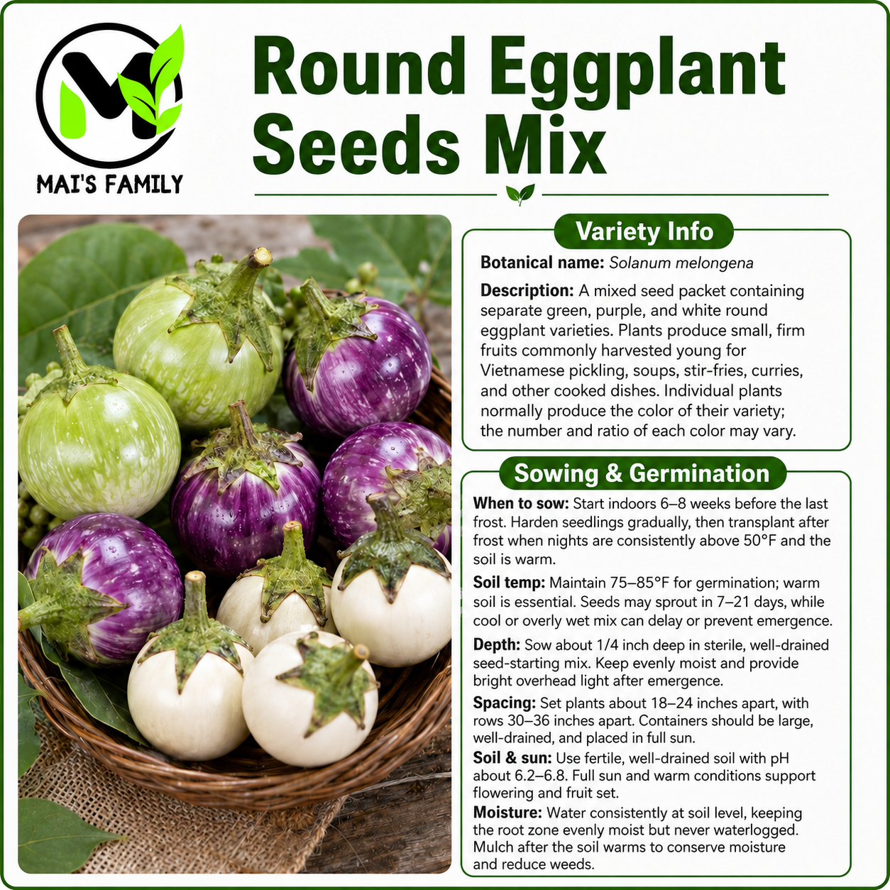 Round Eggplant Seeds Mix – Purple, Green & White Vietnamese Cà Pháo 3 Màu, Heirloom Non-GMO