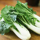 Tall White Pak Choi Seeds | Bok Choy / Pak Choy Cabbage | Heirloom, Non-GMO