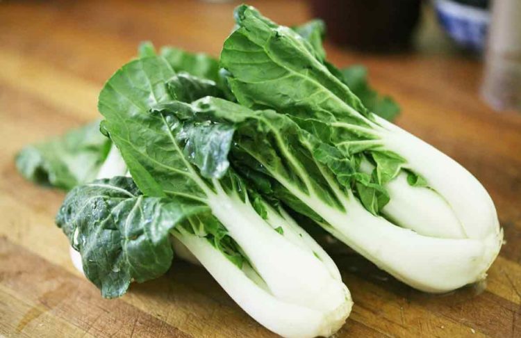 Tall White Pak Choi Seeds | Bok Choy / Pak Choy Cabbage | Heirloom, Non-GMO