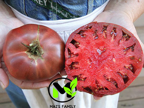 Cherokee Purple Tomato Seeds, Heirloom, NON-GMO
