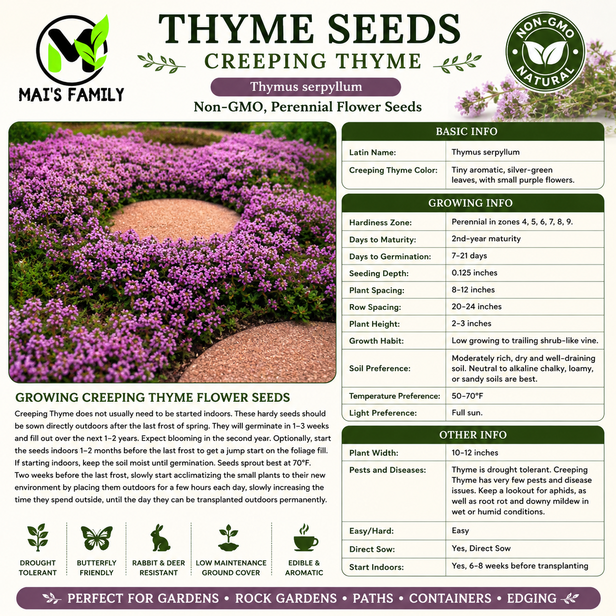 Creeping Thyme Seeds – Thymus serpyllum Heirloom Non-GMO Perennial Ground Cover