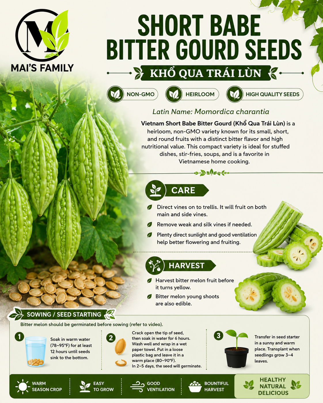Baby Short Bitter Gourd Seeds – Khổ Qua Lùn | Non-GMO Asian Bitter Melon